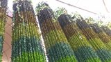 2015080609000000.jpg 2015080609000000.jpg