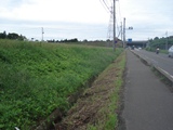 DSC06678.jpg