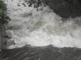 DSC06803.jpg