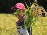 IMG_1696.jpg