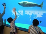 DSCN4812.jpg DSCN4812.jpg