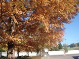 DSC00076.jpg