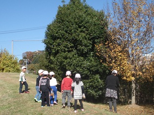 DSC00094.jpg