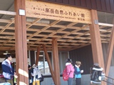 DSC00100.jpg