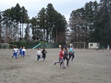 DSC00242.jpg