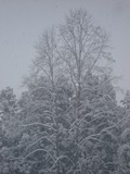 DSC00474.jpg