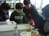 DSC00496.jpg
