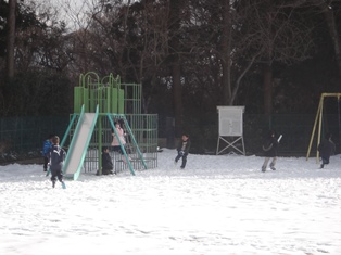 DSC00538.jpg