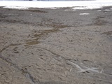 DSC00535.jpg