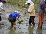 DSCN3447.jpg DSCN3447.jpg