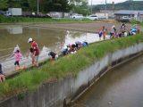 DSCN3456.jpg DSCN3456.jpg
