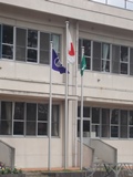 DSC00836.jpg