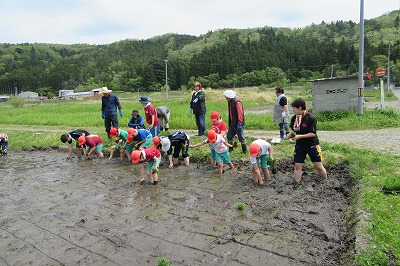 IMG_8561.jpg IMG_8561.jpg