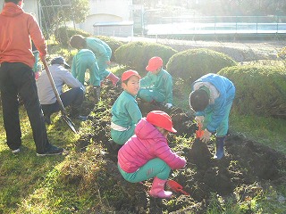 DSCN6615.jpg DSCN6615.jpg