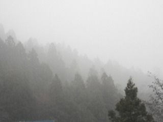 DSCN6624.jpg
