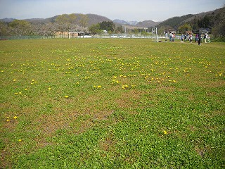 DSCN4143.jpg