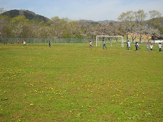 DSCN4144.jpg