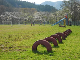 DSCN4148.jpg