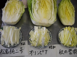 DSCN6692.jpg