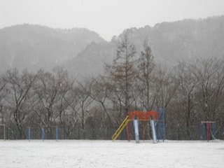 DSCN6817.jpg