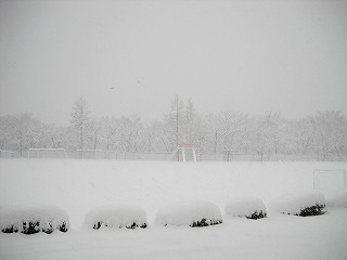DSCN6834_2.jpg