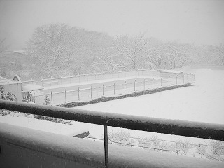 DSCN6823.jpg