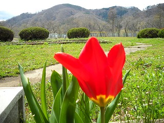 DSCN3905.jpg DSCN3905.jpg