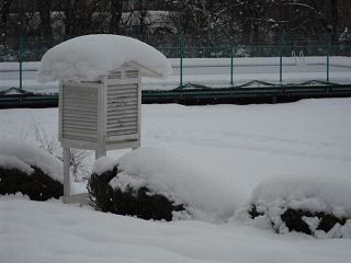 DSCN6862.jpg