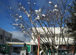 DSCN6864.jpg