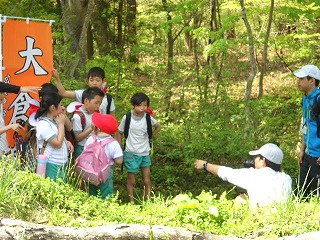 DSCN4249.jpg
