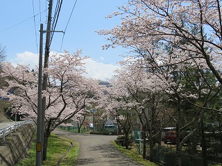 IMG_0136.jpg