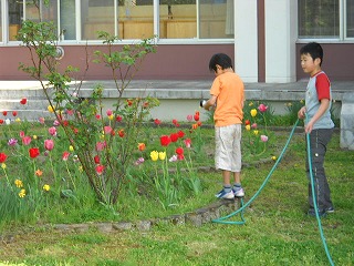 DSCN4317.jpg