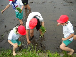 DSCN4389.jpg DSCN4389.jpg