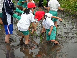 DSCN4393.jpg DSCN4393.jpg