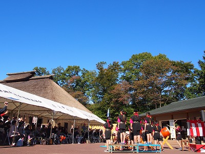 PA160268.jpg