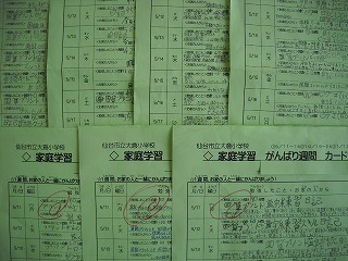 DSCN4489.jpg
