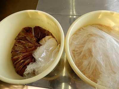DSCN0181.jpg