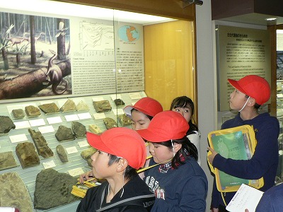 P1480891.jpg