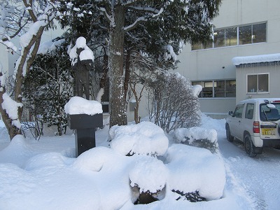 IMG_2470.jpg