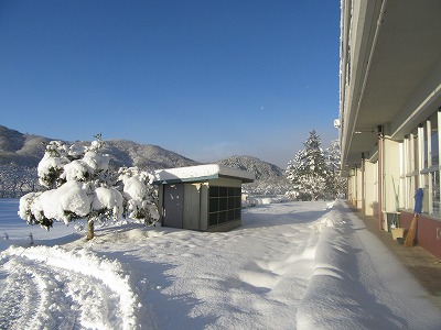 IMG_2475.jpg