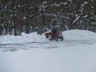 IMG_2494.jpg
