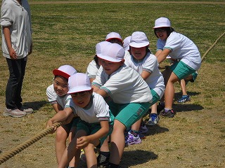 DSCN4626.jpg