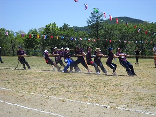 DSCN4728.jpg