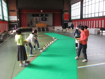 IMG_8106.jpg
