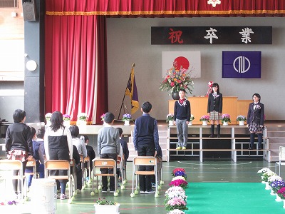IMG_8268.jpg