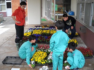 DSCN3988.jpg DSCN3988.jpg