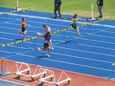 IMG_2683.jpg IMG_2683.jpg