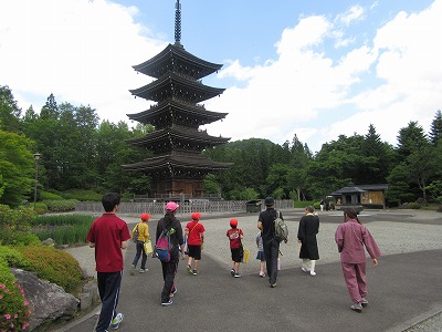 IMG_4208.jpg IMG_4208.jpg