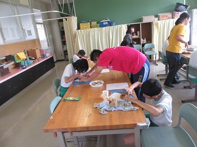 IMG_4604.jpg IMG_4604.jpg