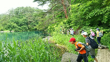 IMG_20170630_111227.jpg